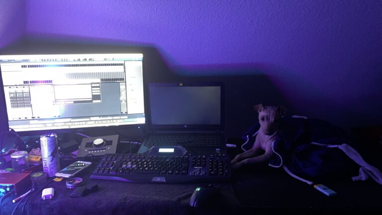 azula liegt auf einem Stuhl neben einem Computer- und Musikarbeitsplatz mit violetter Beleuchtung.