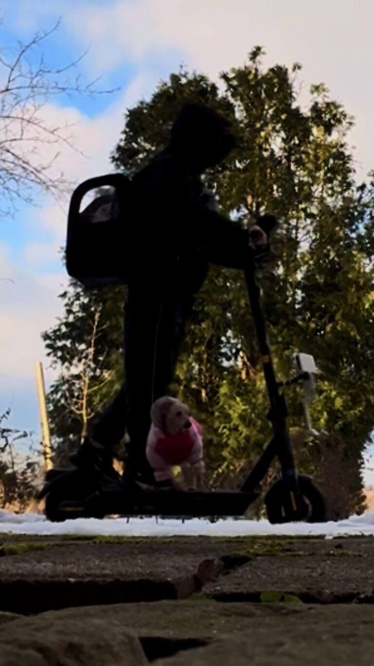 eazy und ein Roller als Silhouette vor Bäumen; azula steht im Vordergrund.