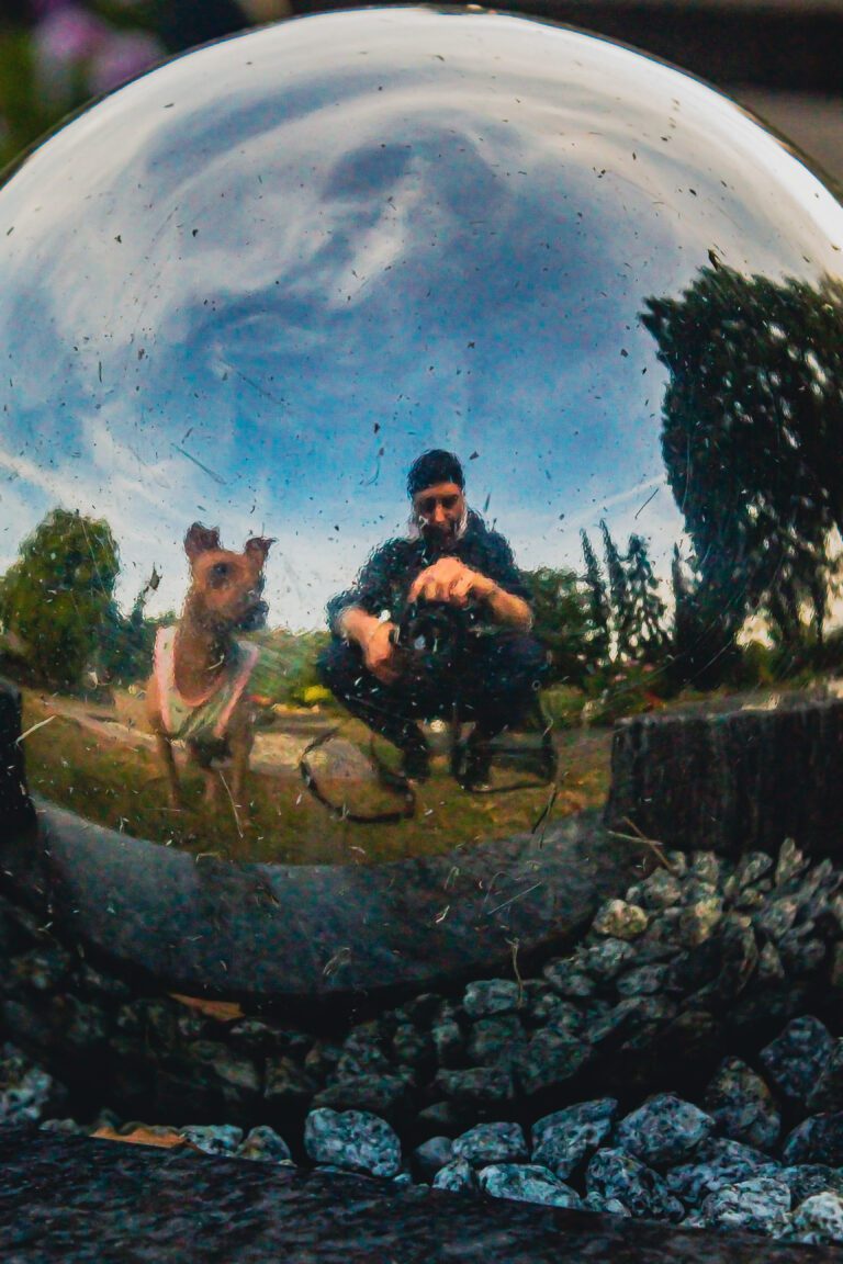 eazy und azula spiegeln sich gemeinsam in einer glänzenden Kugel im Freien.