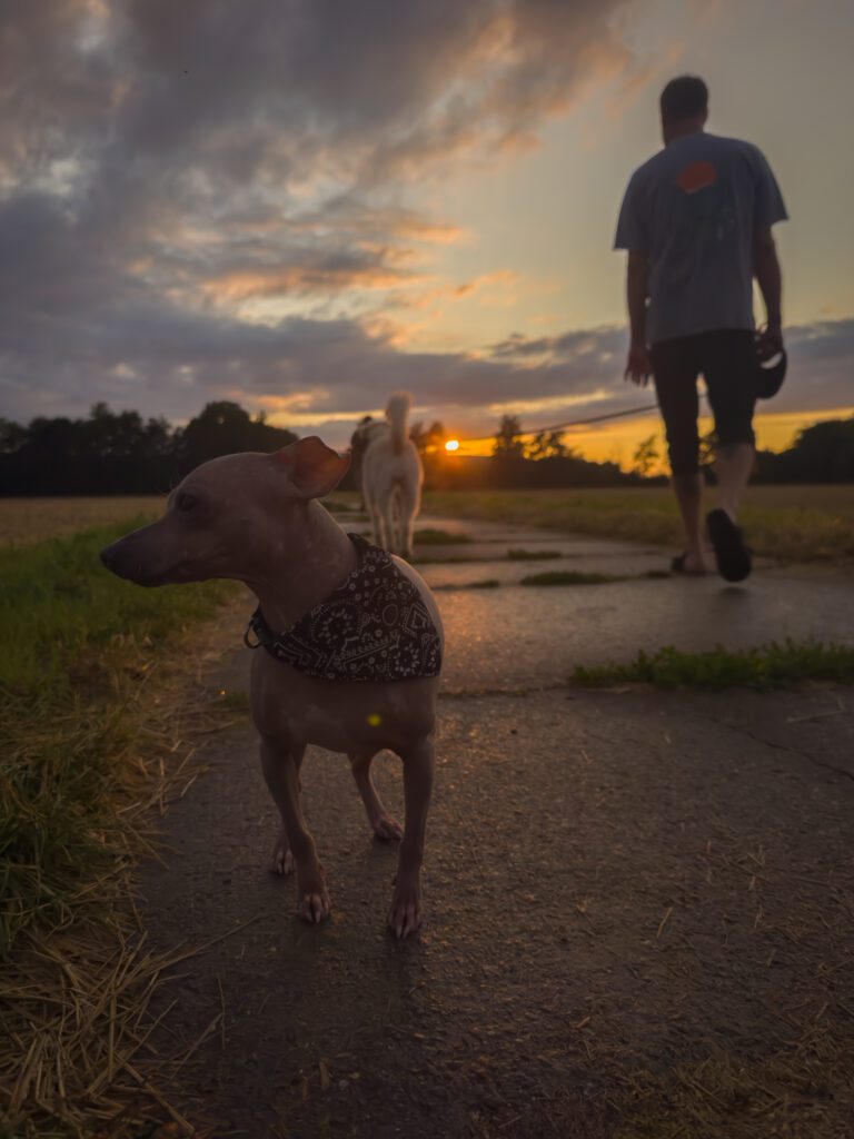 azula steht im Vordergrund auf einem Weg bei tief stehender Sonne; im Hintergrund geht eine Person.
