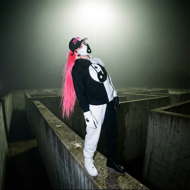 Cover: panem (gutta version) – zeya